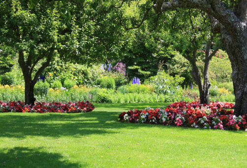 Envision Landscape and Maintenance